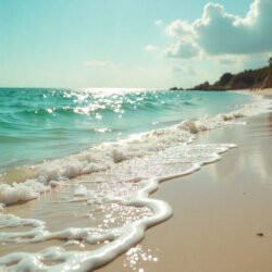 freepik__the-style-is-candid-image-photography-with-natural__81608 playa retrato